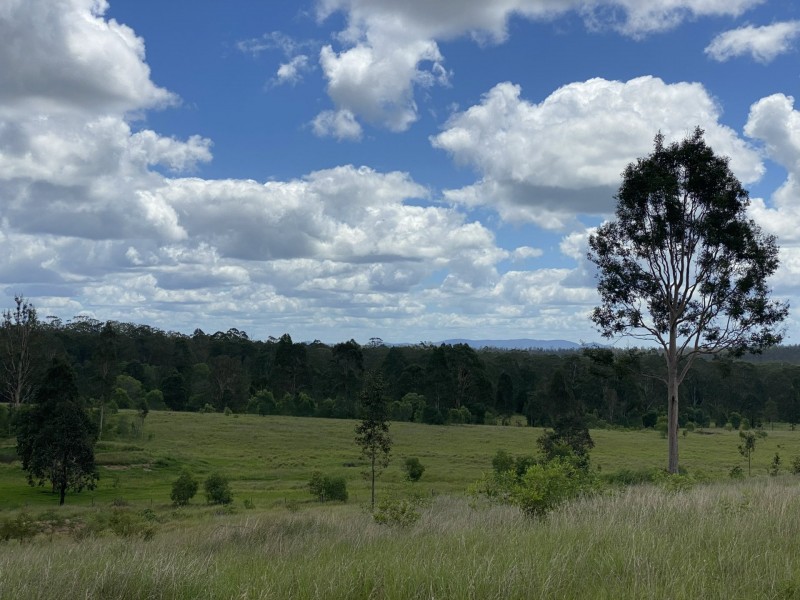 465 Ellangowan Myrtle Creek Road, Ellangowan NSW 2470