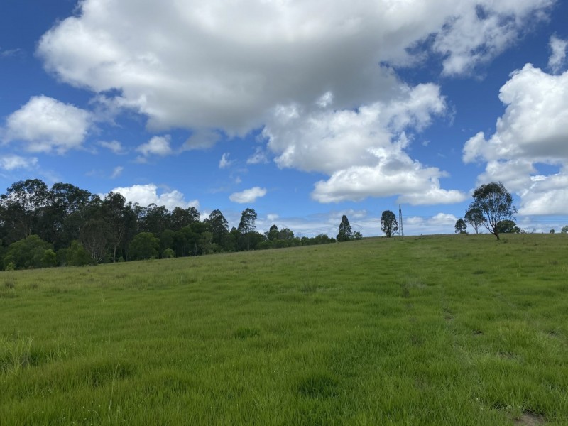 465 Ellangowan Myrtle Creek Road, Ellangowan NSW 2470