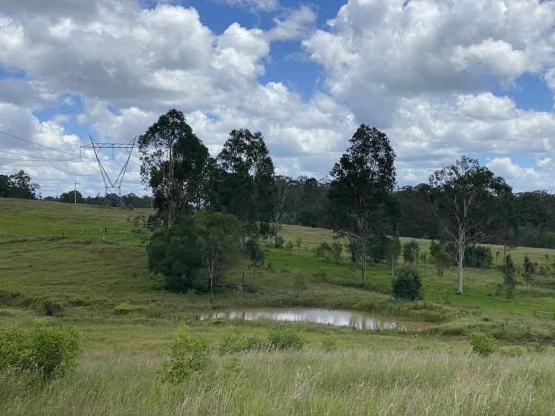 465 Ellangowan Myrtle Creek Road, Ellangowan NSW 2470