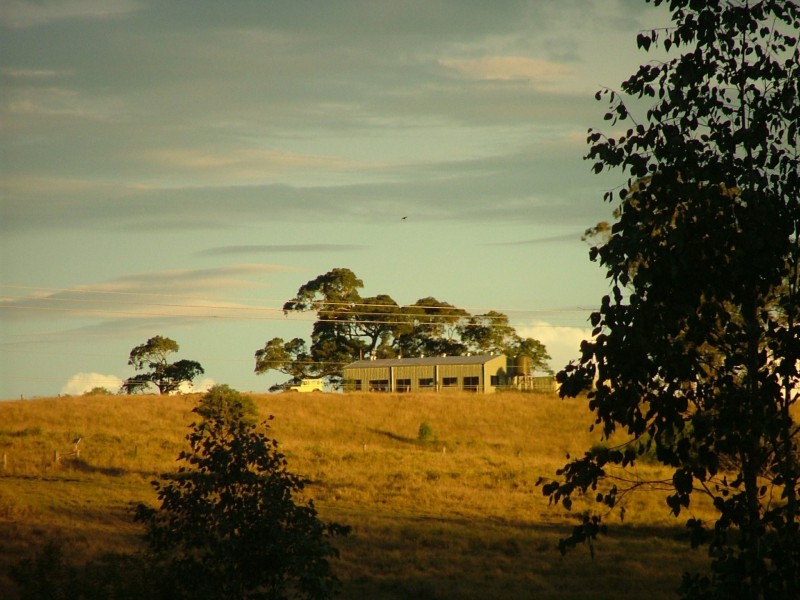 465 Ellangowan Myrtle Creek Road, Ellangowan NSW 2470