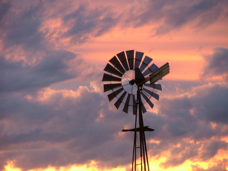 465 Ellangowan Myrtle Creek Road, Ellangowan NSW 2470