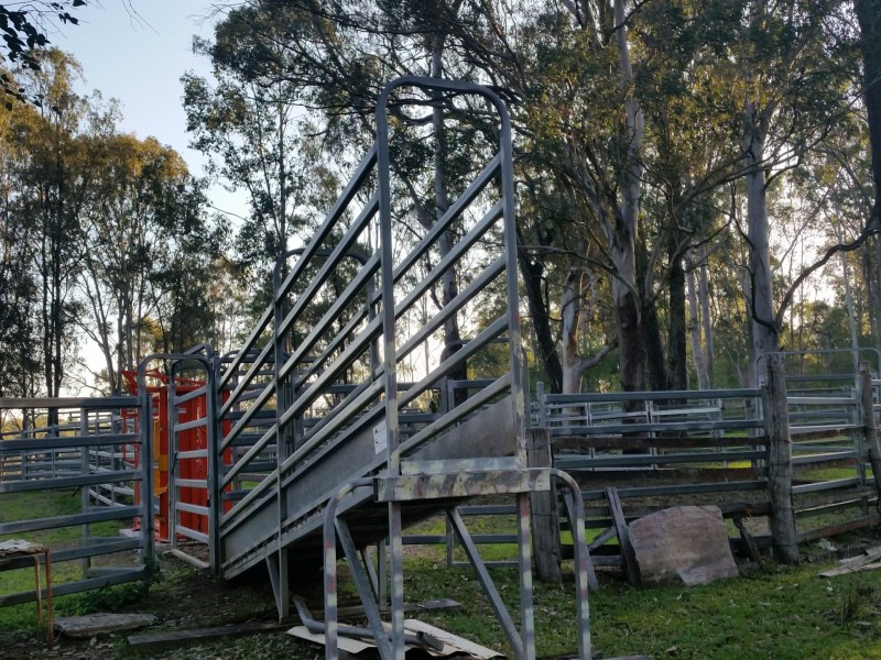 465 Ellangowan Myrtle Creek Road, Ellangowan NSW 2470