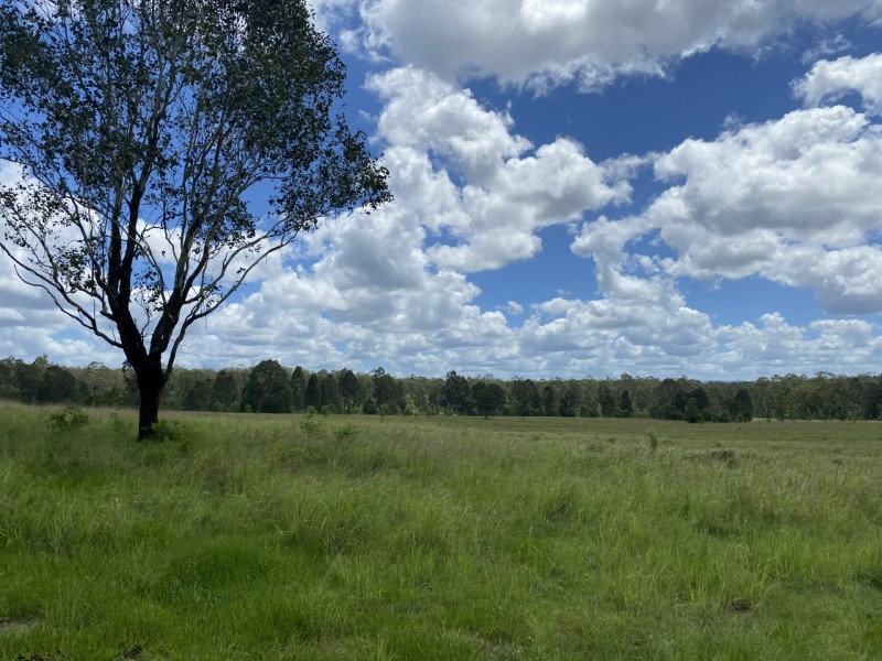 465 Ellangowan Myrtle Creek Road, Ellangowan NSW 2470