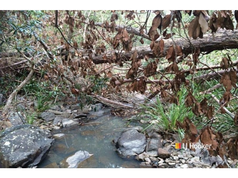 Lot 17/80 Jenny Lind Lane, Tabulam NSW 2469