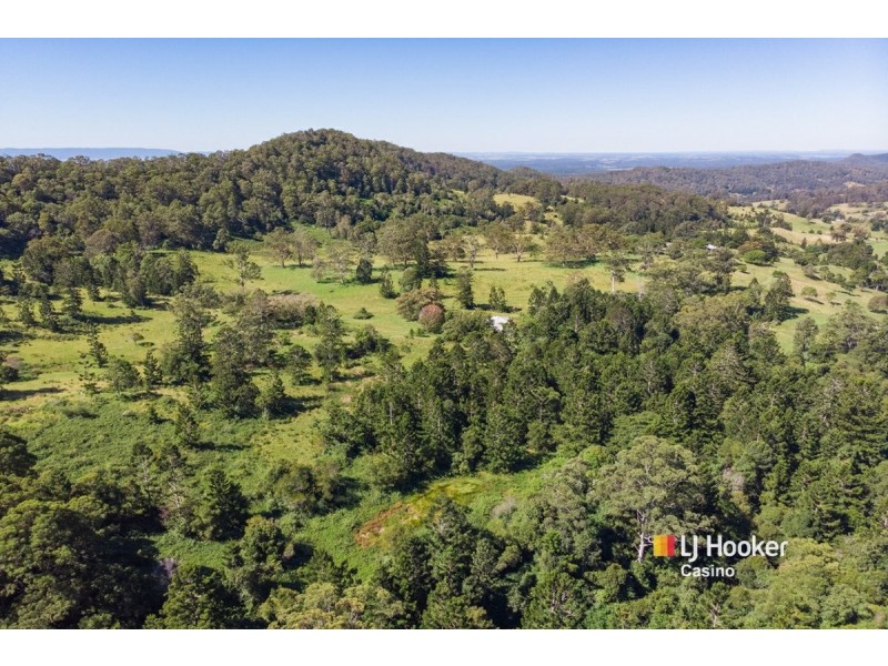 99 Dugan Road, Theresa Creek NSW 2469