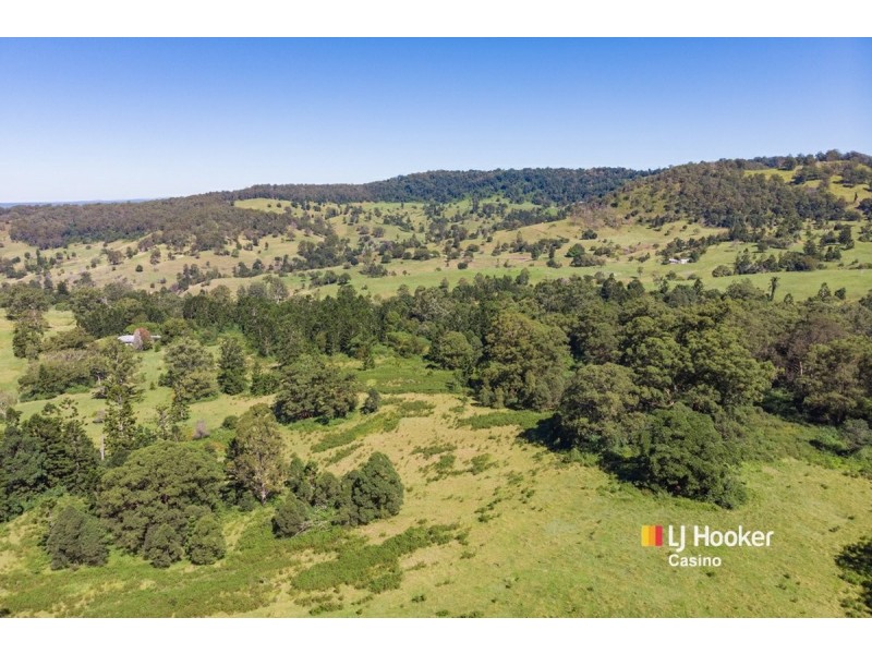 99 Dugan Road, Theresa Creek NSW 2469