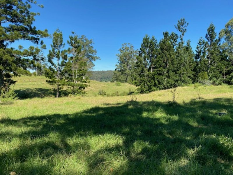 99 Dugan Road, Theresa Creek NSW 2469