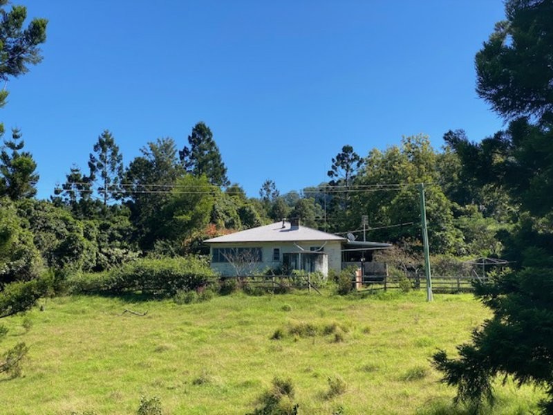 99 Dugan Road, Theresa Creek NSW 2469