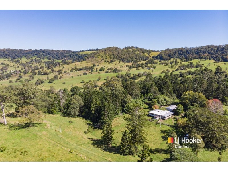 99 Dugan Road, Theresa Creek NSW 2469