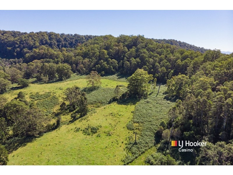 99 Dugan Road, Theresa Creek NSW 2469