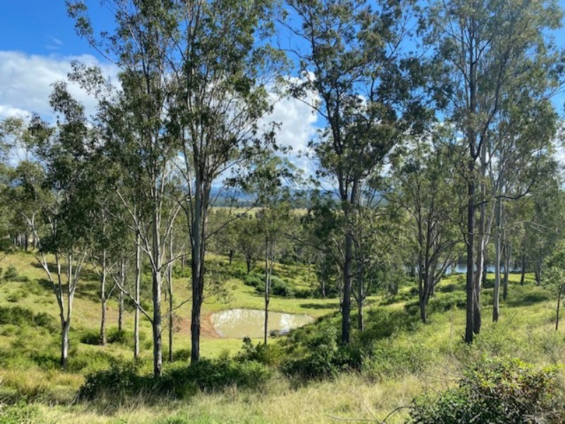 9859 Clarence Way, Louisa Creek NSW 2469