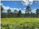 9859 Clarence Way, Louisa Creek NSW 2469