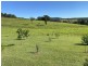 445 Pigman Road, Dyraaba NSW 2470
