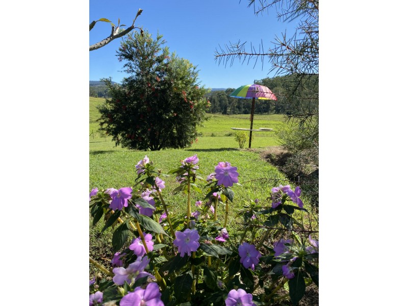 445 Pigman Road, Dyraaba NSW 2470