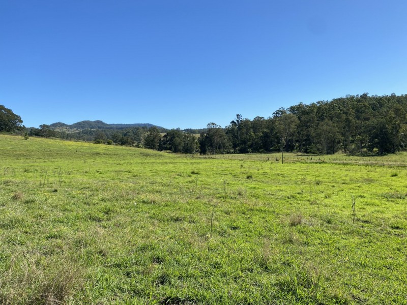 445 Pigman Road, Dyraaba NSW 2470
