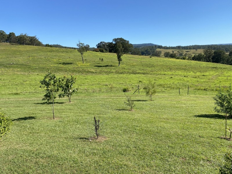 445 Pigman Road, Dyraaba NSW 2470
