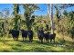 10299 Clarence Way, Louisa Creek NSW 2469