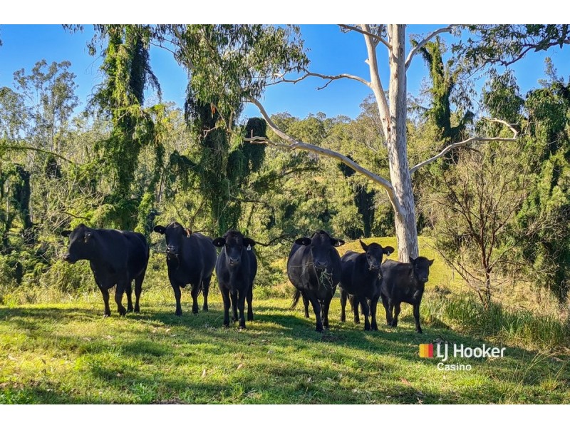 10299 Clarence Way, Louisa Creek NSW 2469