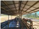 2902 Old Tenterfield Road, Wyan NSW 2469
