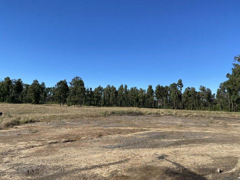 2902 Old Tenterfield Road, Wyan NSW 2469