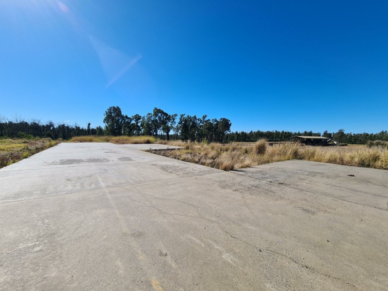 2902 Old Tenterfield Road, Wyan NSW 2469