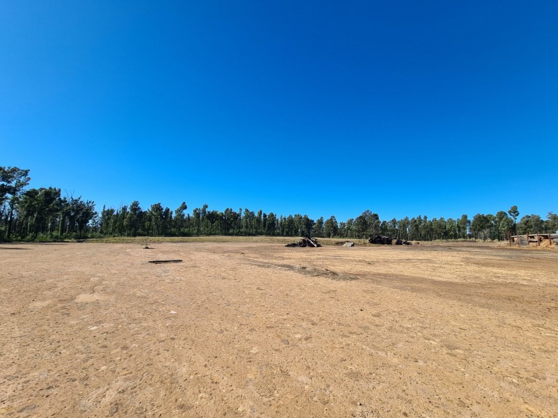 2902 Old Tenterfield Road, Wyan NSW 2469