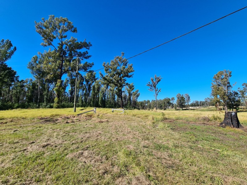 2930 Old Tenterfield Road, Rappville NSW 2469