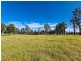 2930 Old Tenterfield Road, Rappville NSW 2469