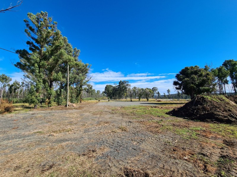 2930 Old Tenterfield Road, Rappville NSW 2469