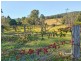 13151 Clarence Way, Bottle Creek NSW 2469