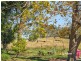 13151 Clarence Way, Bottle Creek NSW 2469
