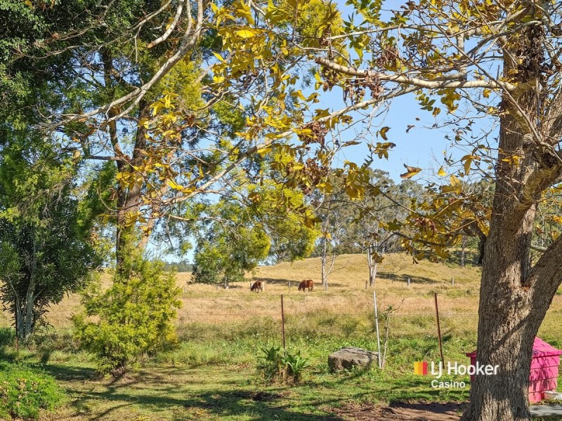 13151 Clarence Way, Bottle Creek NSW 2469