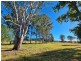 13151 Clarence Way, Bottle Creek NSW 2469