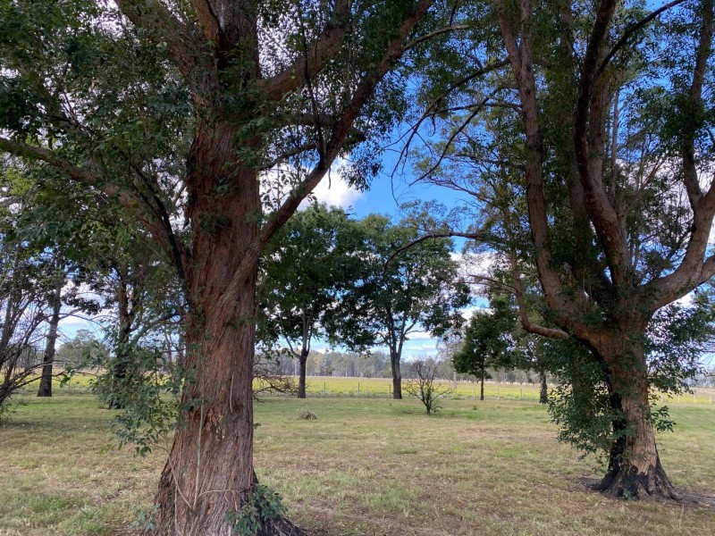 1340 Wyan Road, Wyan NSW 2469