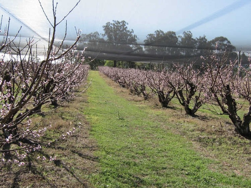 Hogarth Range NSW 2469