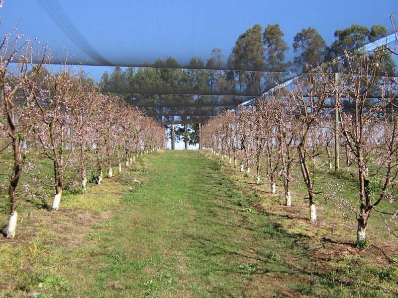 Hogarth Range NSW 2469