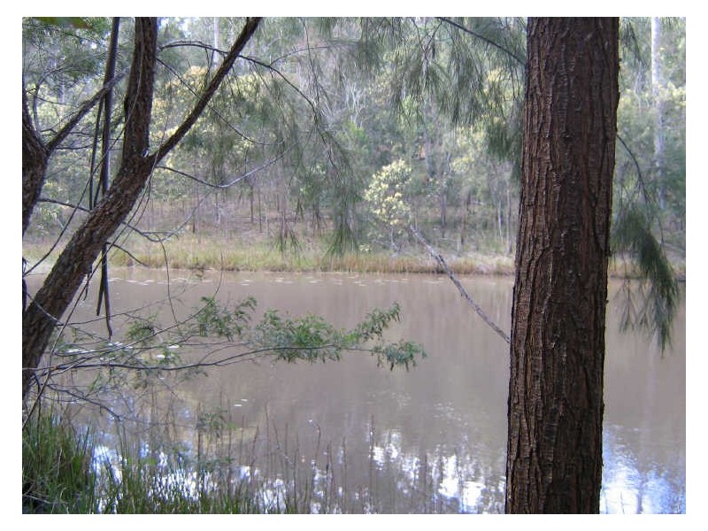 Drake NSW 2469