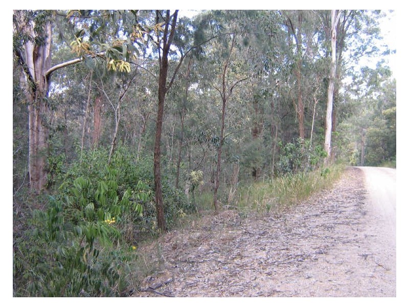 Drake NSW 2469