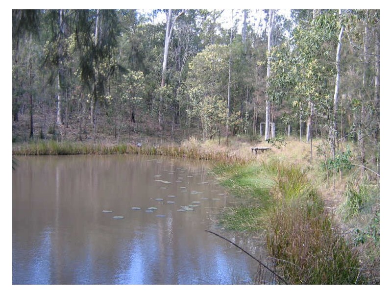 Drake NSW 2469