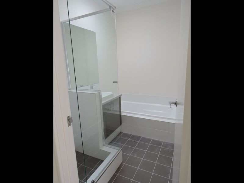 17 Needletail Avenue, Alkimos WA 6038