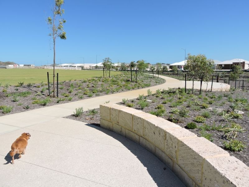 17 Needletail Avenue, Alkimos WA 6038