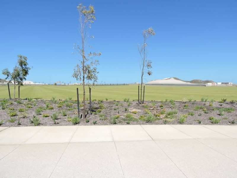 17 Needletail Avenue, Alkimos WA 6038