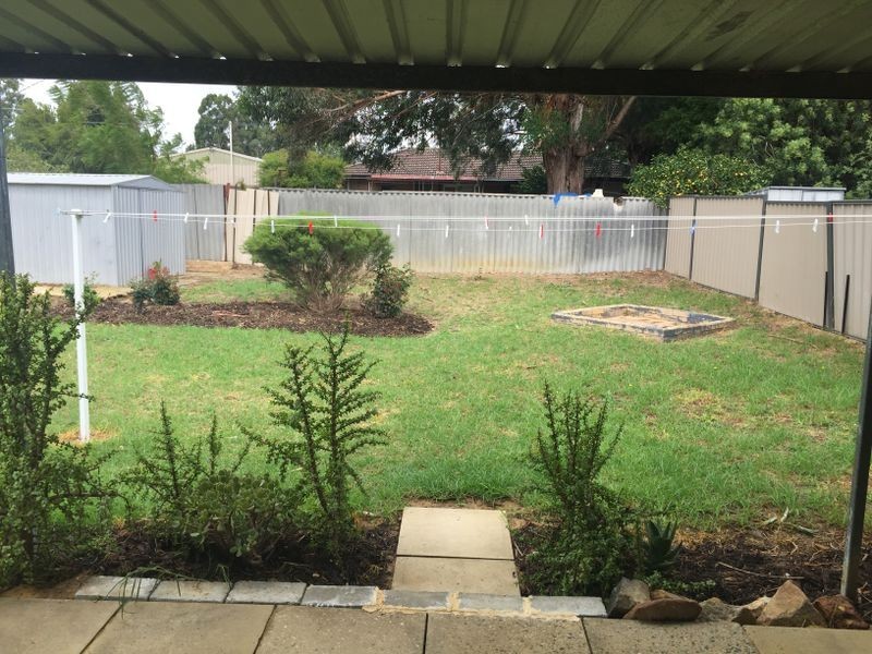 19 Grealis Street, Armadale WA 6112