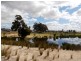 33 Leroy Way, Piara Waters WA 6112
