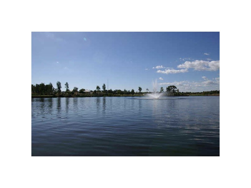 Lot 503 Starflower Way, Baldivis WA 6171