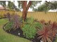 25 Hartwell Pde, Jandakot WA 6164