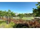 6 Congenial Loop, Atwell WA 6164