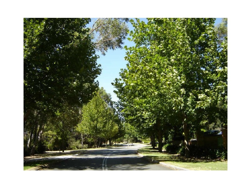 167 Glen Iris Drive, Jandakot WA 6164