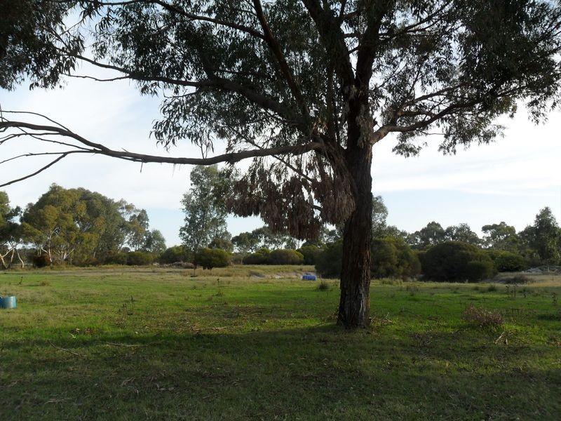 74 Harper Road, Banjup WA 6164