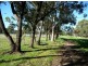 128 Richardson Rd, Serpentine WA 6125